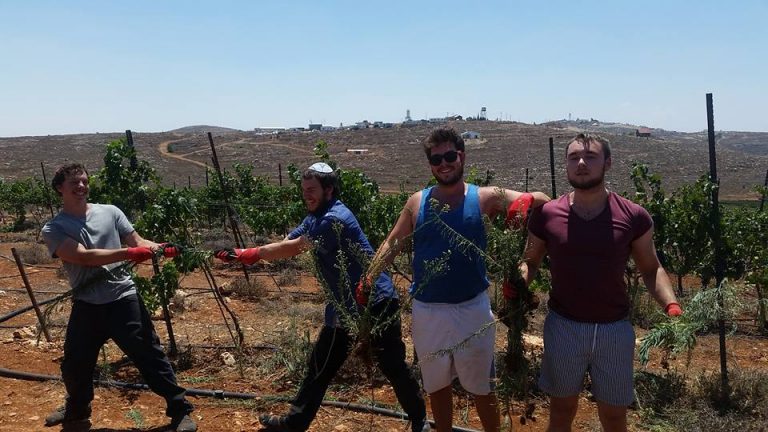 13686492_10103680210051378_617107595828528983_n