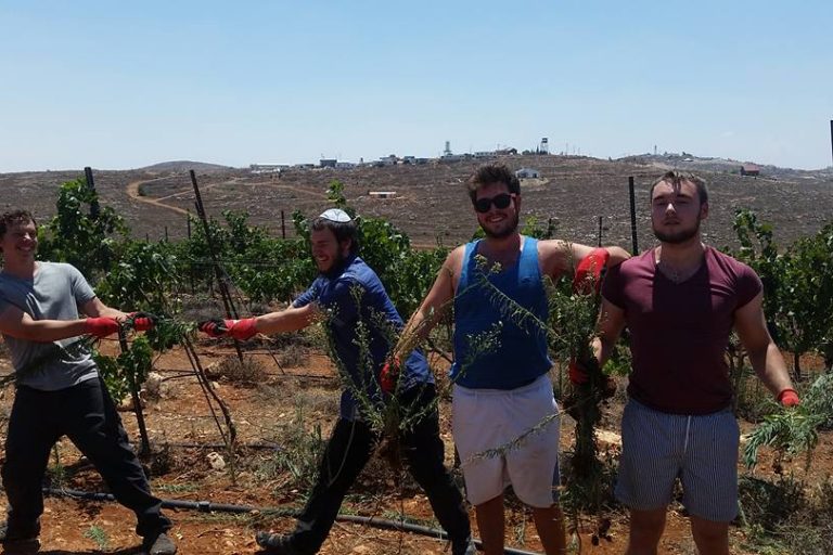 13686492_10103680210051378_617107595828528983_n