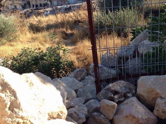 land cleared in Hevron!