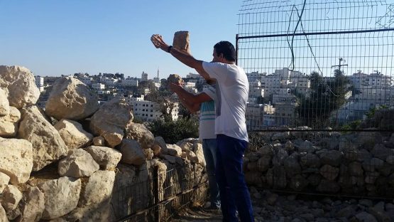 Got some more rocks moved today in Hevron!