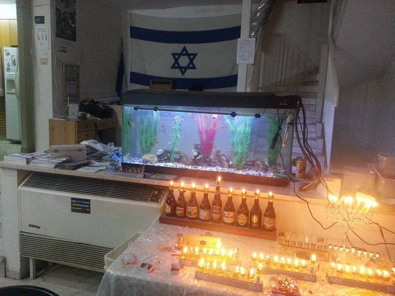 8th night! 8th night!